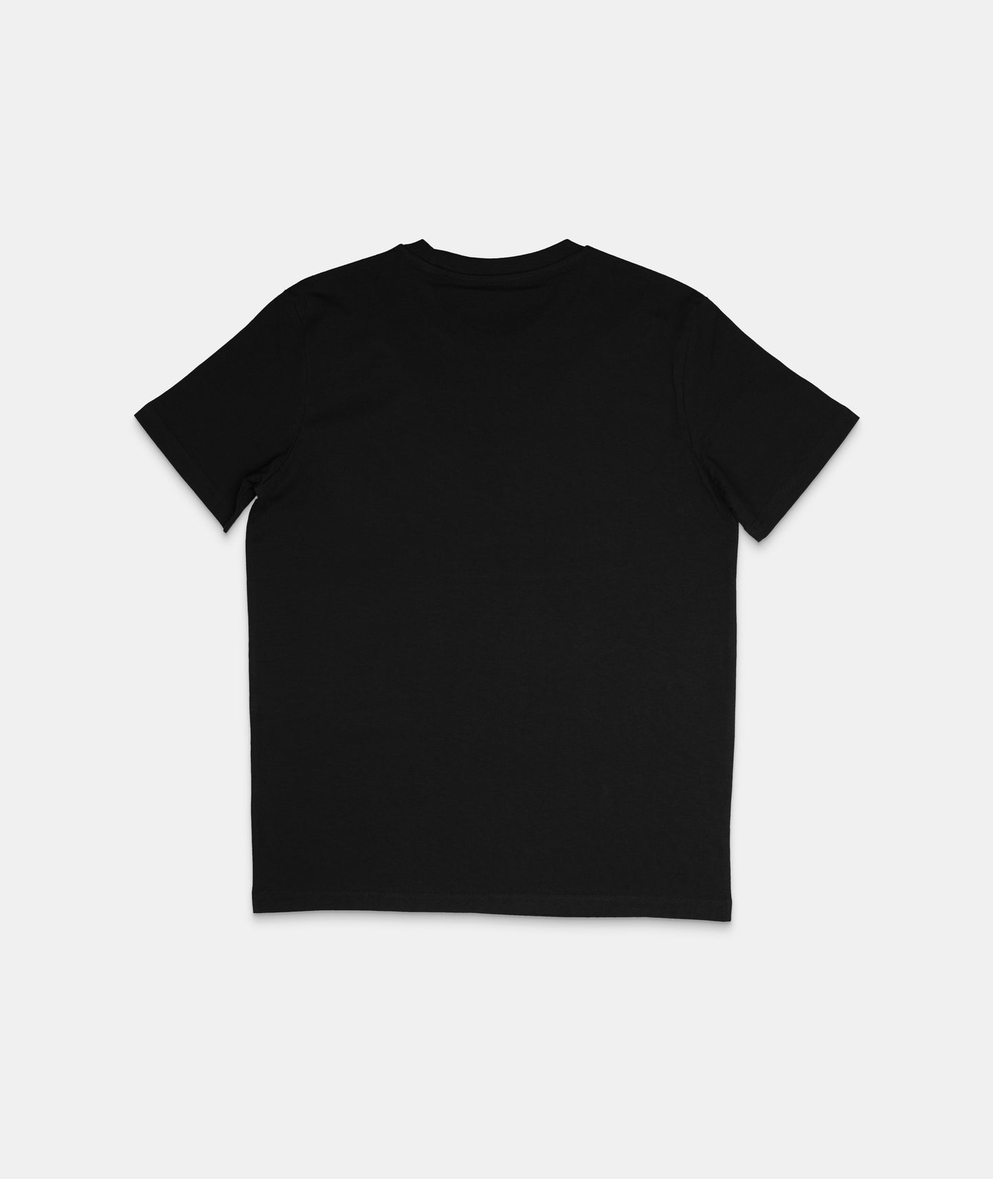 Medvilniniai marškinėliai - Unisex | Vyriški